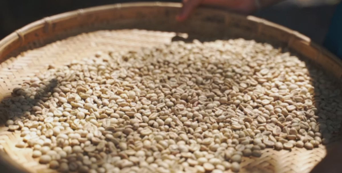 Grønne kaffebønner Home Roast